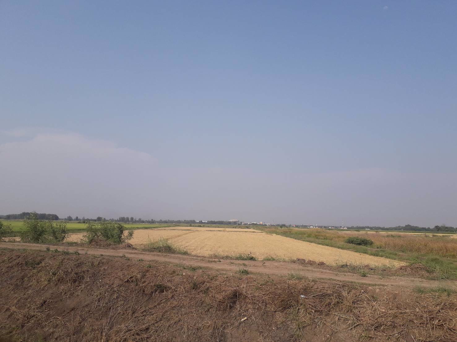 ขายถูกมากที่ดินเปล่า-18-ไร่-ขายต่ำกว่าราคาประเมิน-เมืองอยุธยา-ห่างถนนสายเอเซียเพียง-3-กม