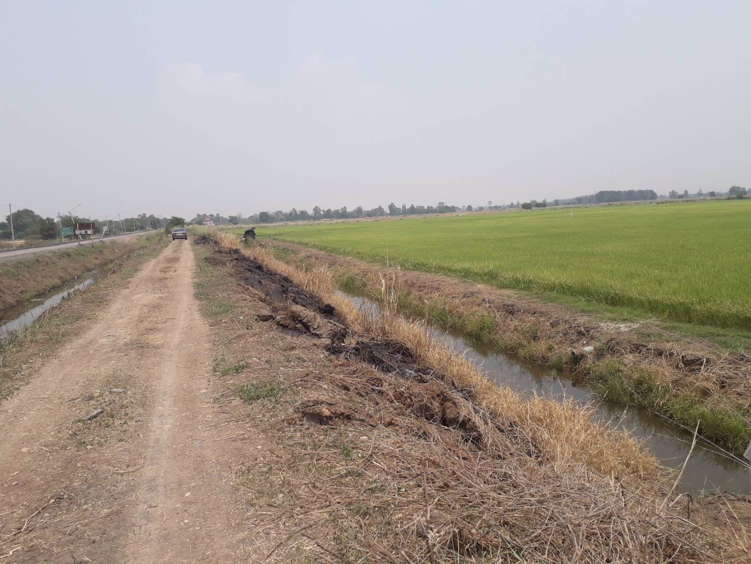 ขายถูกมากที่ดินเปล่า-18-ไร่-ขายต่ำกว่าราคาประเมิน-เมืองอยุธยา-ห่างถนนสายเอเซียเพียง-3-กม