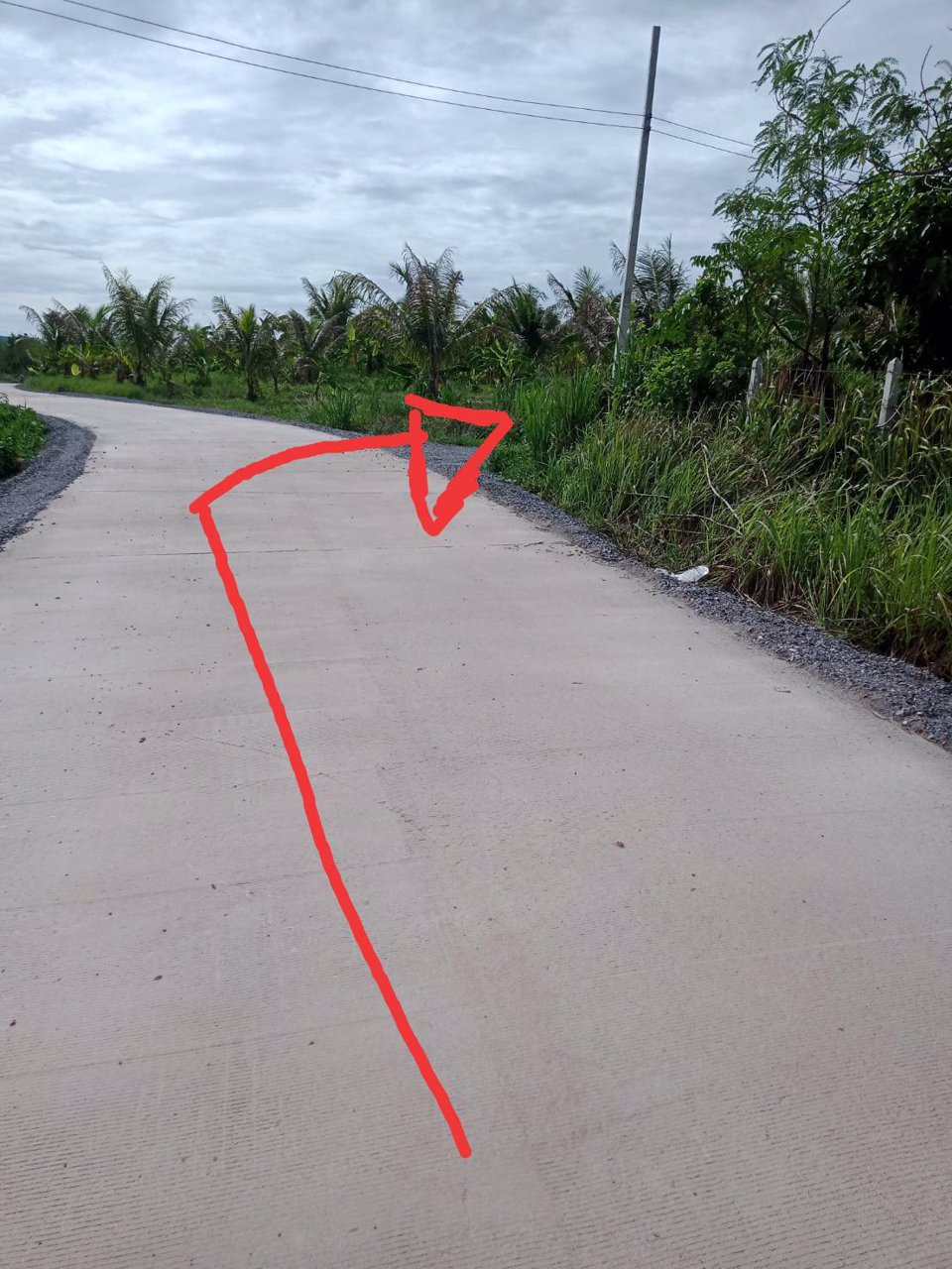 ขายที่ดินจำนวน-2-ไร่-ราคาไร่ละ-950000-บาท-เจ้าของขายเอง-