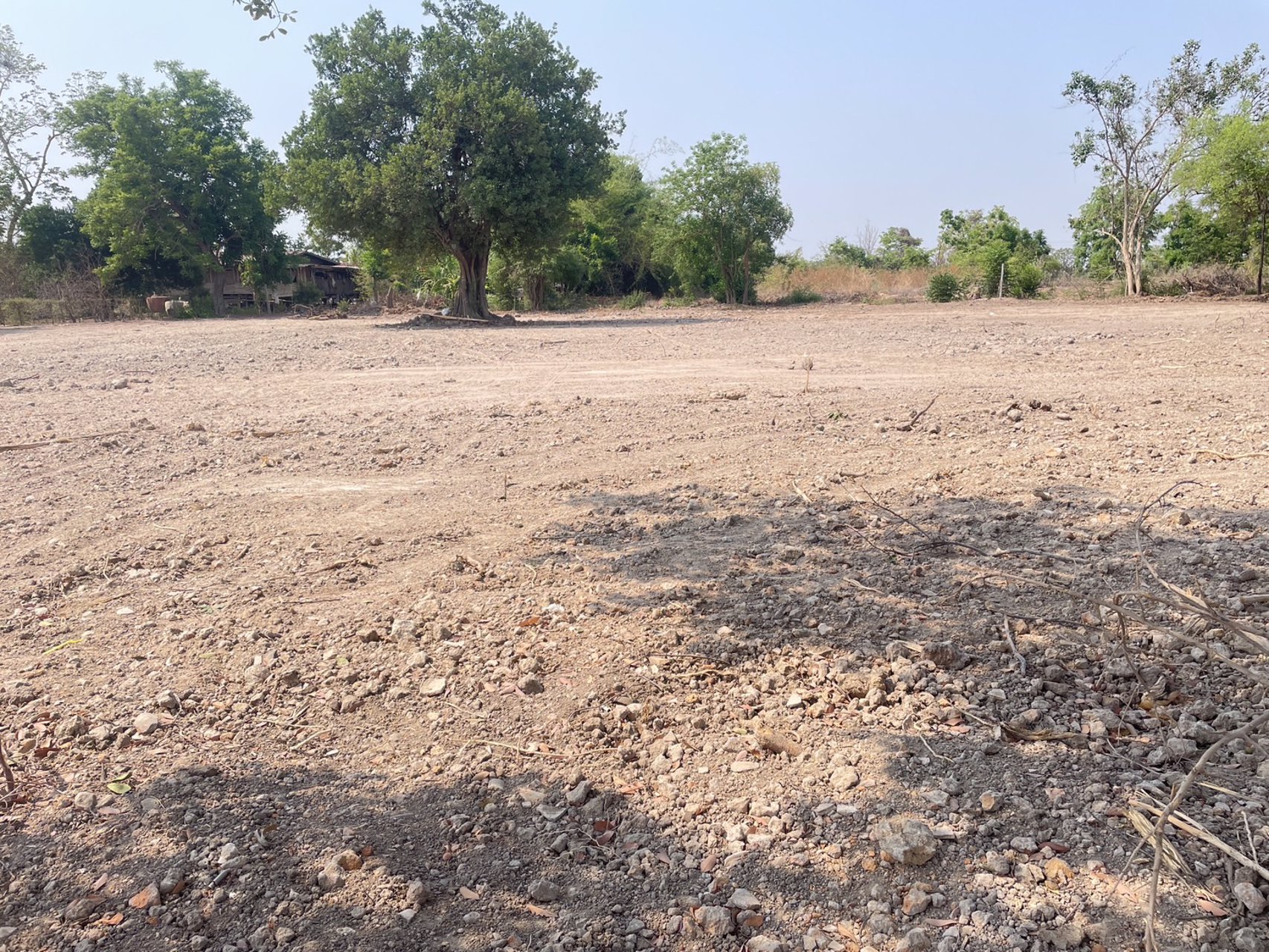 ขายที่ดิน-อำเภอเมืองสุพรรณบุรี-ถมแล้ว