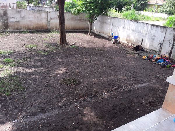 ขายบ้านเดี่ยว-1-ชั้น-มอริสรา-ซ9-ตหลักชัย-อลาดบัวหลวง-จอยุธยา