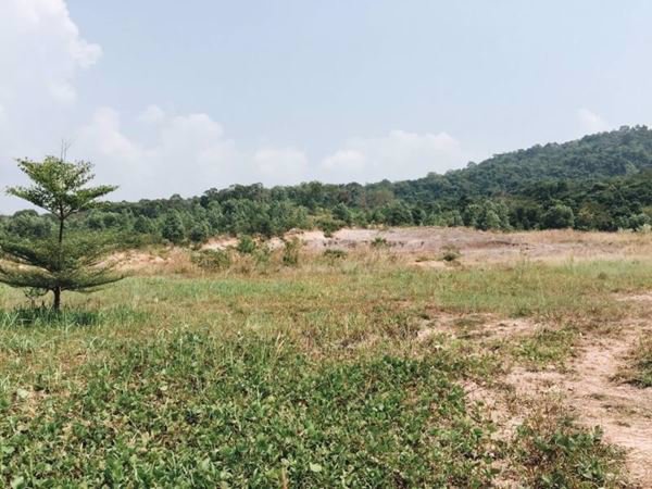 ขายที่ดินทำเลดีราคาถูก-ตหาดเล็ก-อคลองใหญ่-จตราด-40-ไร่-94-ตารางวา