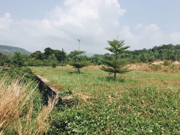 ขายที่ดินทำเลดีราคาถูก-ตหาดเล็ก-อคลองใหญ่-จตราด-40-ไร่-94-ตารางวา