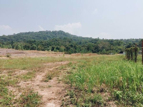 ขายที่ดินทำเลดีราคาถูก-ตหาดเล็ก-อคลองใหญ่-จตราด-40-ไร่-94-ตารางวา