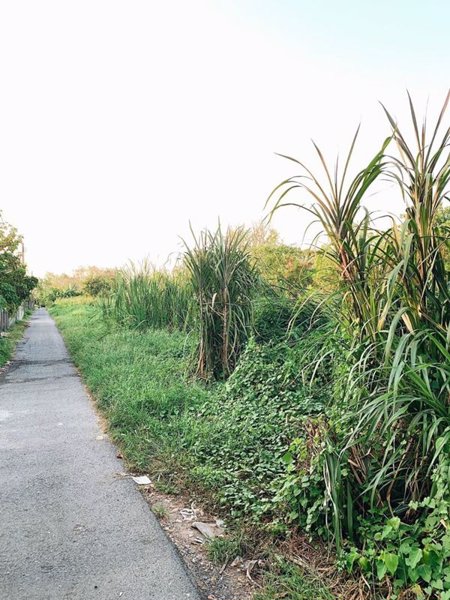 ขายที่ดินราคาถูกเท่าราคาประเมิน-ซอยพหลโยธิน-เขตสายไหม-กทม-2-ไร่