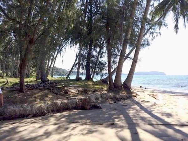 ขายที่ดินติดทะเลเกาะกูด-ตเกาะกูด-อเกาะกูด-จตราด-53-ไร่-1-งาน-69-ตรว