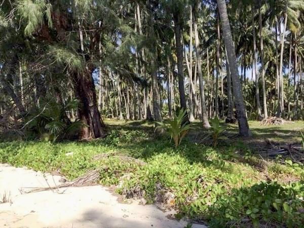 ขายที่ดินติดทะเลเกาะกูด-ตเกาะกูด-อเกาะกูด-จตราด-53-ไร่-1-งาน-69-ตรว