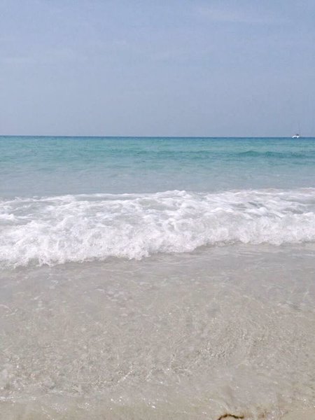 ขายที่ดินติดทะเลเกาะกูด-ตเกาะกูด-อเกาะกูด-จตราด-53-ไร่-1-งาน-69-ตรว