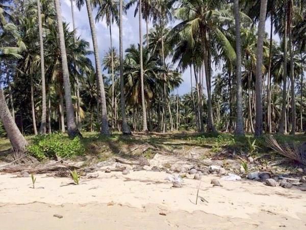 ขายที่ดินติดทะเลเกาะกูด-ตเกาะกูด-อเกาะกูด-จตราด-53-ไร่-1-งาน-69-ตรว