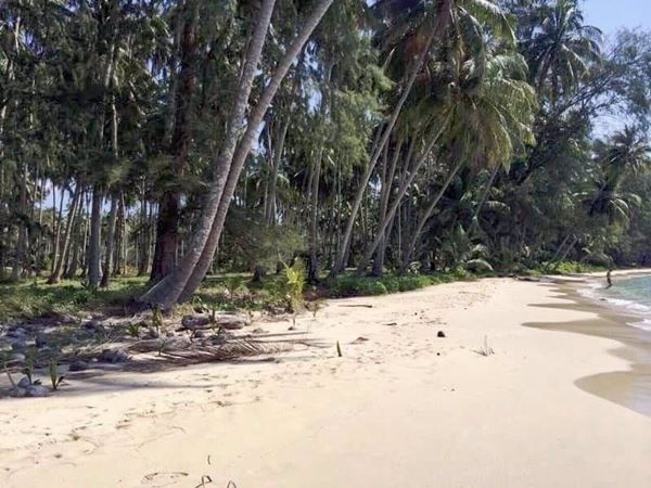 ขายที่ดินติดทะเลเกาะกูด-ตเกาะกูด-อเกาะกูด-จตราด-53-ไร่-1-งาน-69-ตรว