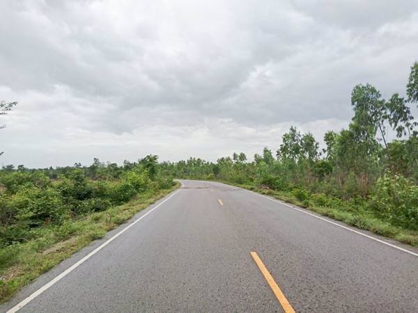 ขายที่ดินเขาย้อย-ตหนองชุมพล-อเขาย้อย-จเพชรบุรี-62-ไร่-3-งาน-494-ตรว