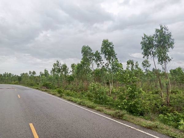 ขายที่ดินเขาย้อย-ตหนองชุมพล-อเขาย้อย-จเพชรบุรี-62-ไร่-3-งาน-494-ตรว