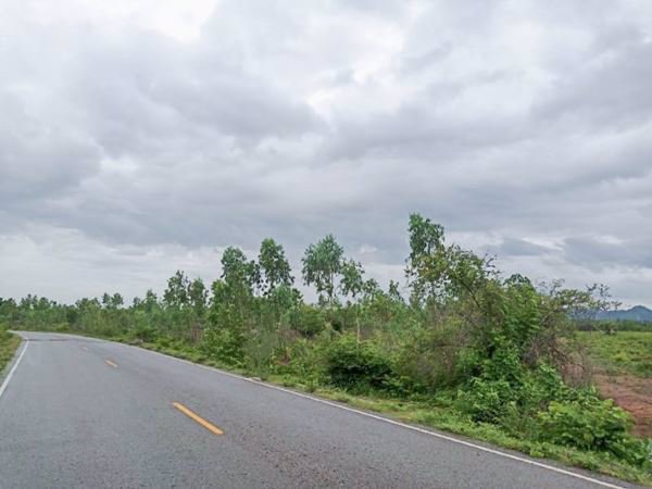 ขายที่ดินเขาย้อย-ตหนองชุมพล-อเขาย้อย-จเพชรบุรี-62-ไร่-3-งาน-494-ตรว