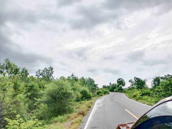 ขายที่ดินเขาย้อย-ตหนองชุมพล-อเขาย้อย-จเพชรบุรี-62-ไร่-3-งาน-494-ตรว