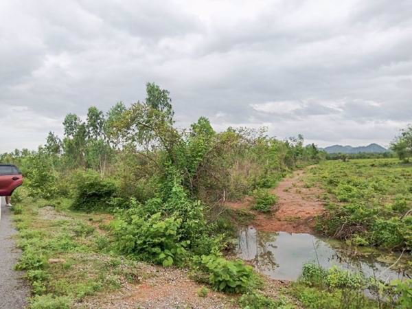 ขายที่ดินเขาย้อย-ตหนองชุมพล-อเขาย้อย-จเพชรบุรี-62-ไร่-3-งาน-494-ตรว