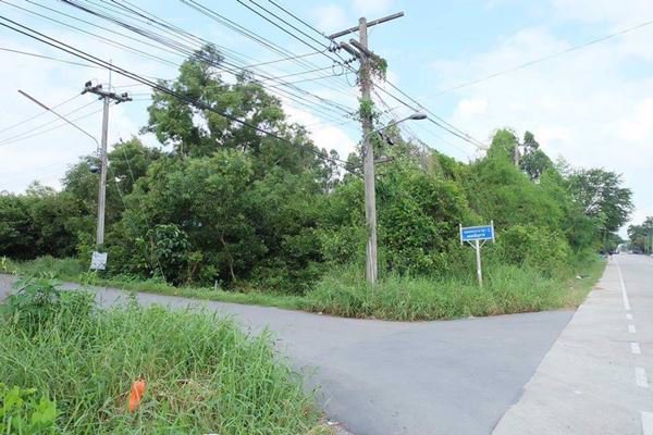 ขายที่ดินคลองสาม-อคลองหลวง-จปทุมธานี-192-ตรว-ถนนเรียบคลองสาม-ซอย-103-เพ็ญภาค