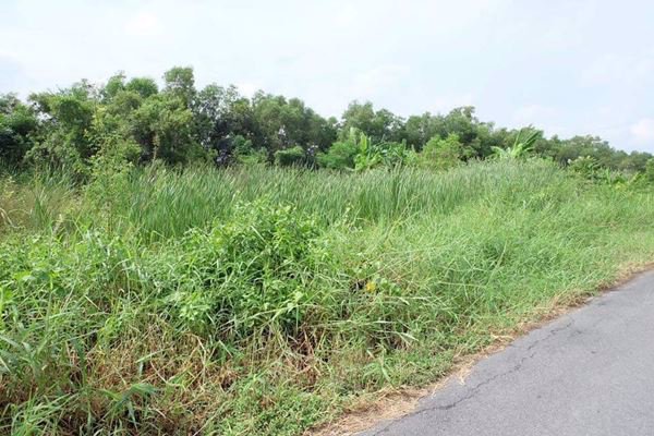 ขายที่ดินคลองสาม-อคลองหลวง-จปทุมธานี-192-ตรว-ถนนเรียบคลองสาม-ซอย-103-เพ็ญภาค