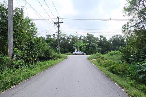 ขายที่ดินคลองสาม-อคลองหลวง-จปทุมธานี-192-ตรว-ถนนเรียบคลองสาม-ซอย-103-เพ็ญภาค