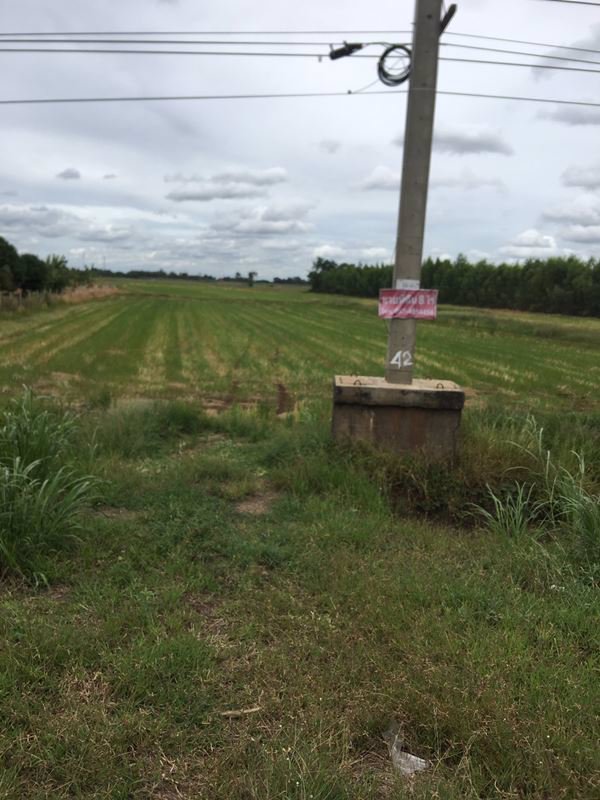 ขายที่ดินแปลงสวยติดถนนลาดยาง-8ไร่-อเสนา-จพระนครศรีอยุธยา