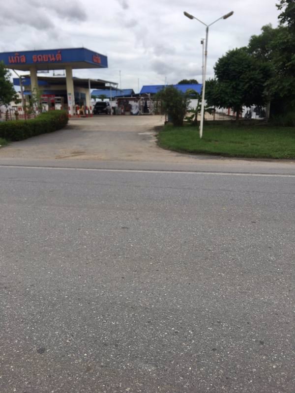 ขายที่ดินแปลงสวยติดถนนลาดยาง-8ไร่-อเสนา-จพระนครศรีอยุธยา