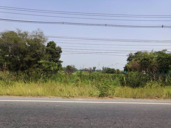 ขายที่ดินสวย-25-ไร่-ติดถนน-ตโพธิ๋เเตง-อบางไทร-จพระนครศรีอยุธยา