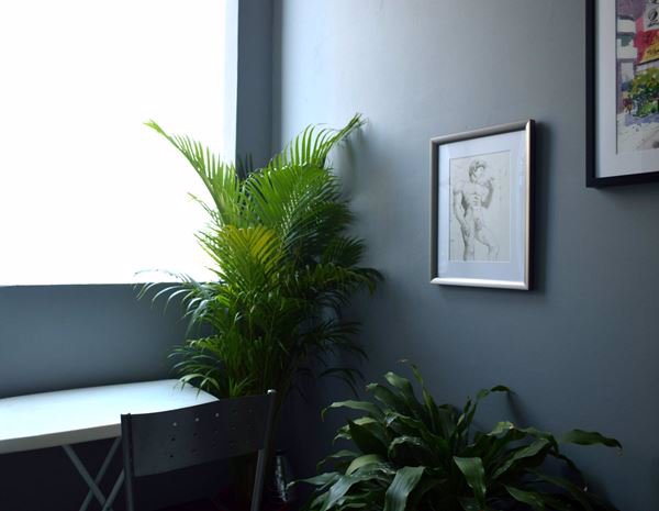 เจ้าของโพสต์-ให้เช่า-ขาย-คอนโด-amber-ติวานนท์โครงการหรู-อยู่ติดสถานีรถไฟฟ้า-mrt-แยกติวานนท์-ห้องกว้