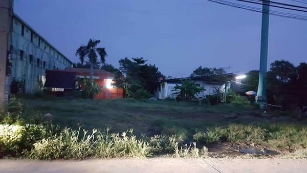 ที่ดิน-คลองหลวง-ปทุมธานี-ถมแล้ว-192-ตรว-ไม่ไกลจาก-มธรรมศาสตร์-รังสิต