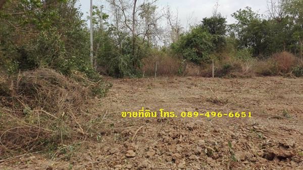 ขายที่ดินถมแล้ว-ออินทร์บุรี-จสิงห์บุรี-ใกล้ถนนสายเอเซีย-356-ตรว
