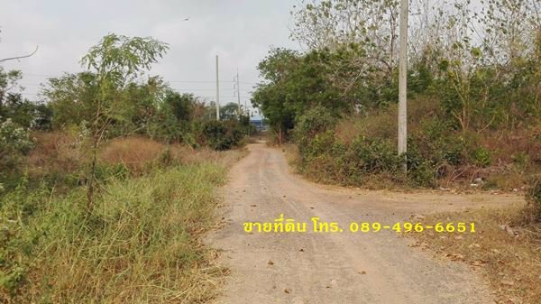 ขายที่ดินถมแล้ว-ออินทร์บุรี-จสิงห์บุรี-ใกล้ถนนสายเอเซีย-356-ตรว