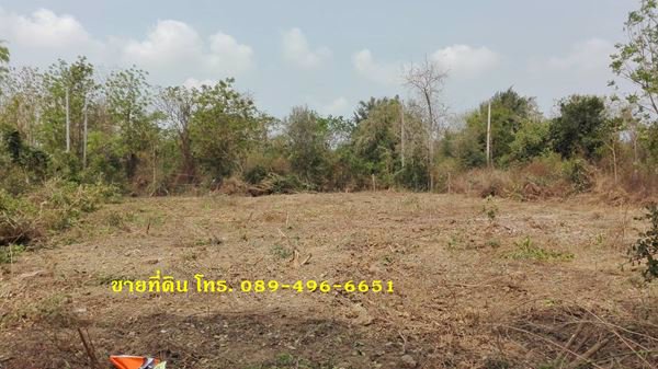 ขายที่ดินถมแล้ว-ออินทร์บุรี-จสิงห์บุรี-ใกล้ถนนสายเอเซีย-356-ตรว