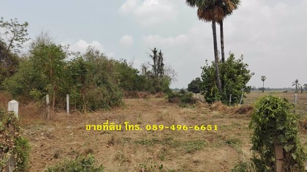 ขายที่ดินถมแล้ว-ออินทร์บุรี-จสิงห์บุรี-ใกล้ถนนสายเอเซีย-356-ตรว