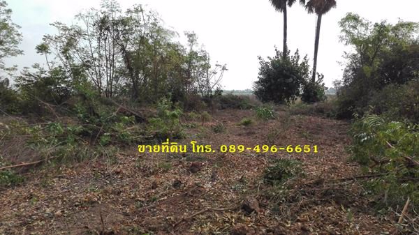 ขายที่ดินถมแล้ว-ออินทร์บุรี-จสิงห์บุรี-ใกล้ถนนสายเอเซีย-356-ตรว