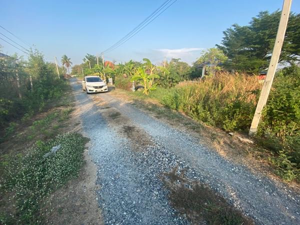 ขายที่ดิน-1-ไร่-ในเขตชุมชน-ใกล้โตโยต้าบ้านโพธิ์-จฉะเชิงเทรา