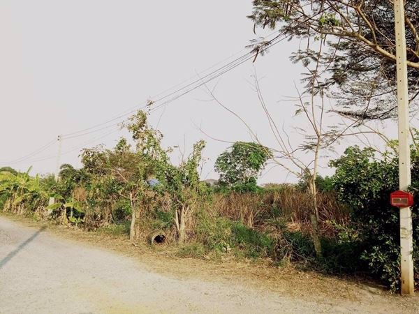 ขายที่ดิน-1-ไร่-ในเขตชุมชน-ใกล้โตโยต้าบ้านโพธิ์-จฉะเชิงเทรา