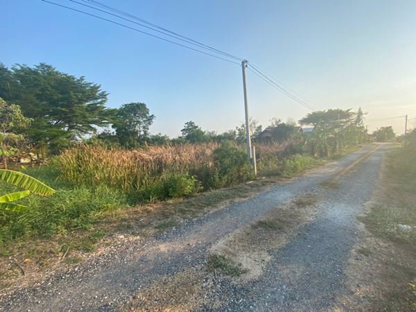 ขายที่ดิน-1-ไร่-ในเขตชุมชน-ใกล้โตโยต้าบ้านโพธิ์-จฉะเชิงเทรา