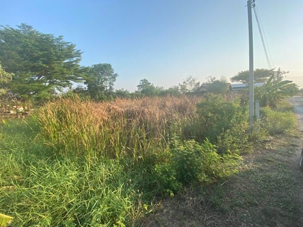 ขายที่ดิน-1-ไร่-ในเขตชุมชน-ใกล้โตโยต้าบ้านโพธิ์-จฉะเชิงเทรา