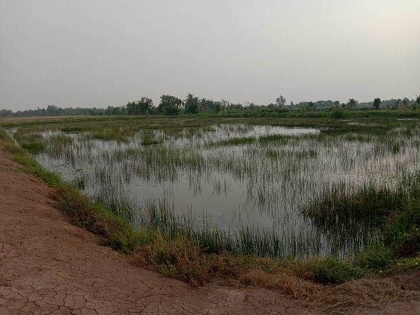 ขายที่ดินบ่อปลา-22-1-68-ไร่-ราคาถูกๆ-ใกล้แหล่งชุมชน-อบางคล้า-จฉะเชิงเทรา