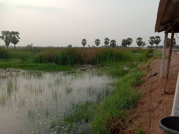 ขายที่ดินบ่อปลา-22-1-68-ไร่-ราคาถูกๆ-ใกล้แหล่งชุมชน-อบางคล้า-จฉะเชิงเทรา