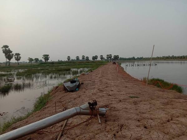 ขายที่ดินบ่อปลา-22-1-68-ไร่-ราคาถูกๆ-ใกล้แหล่งชุมชน-อบางคล้า-จฉะเชิงเทรา