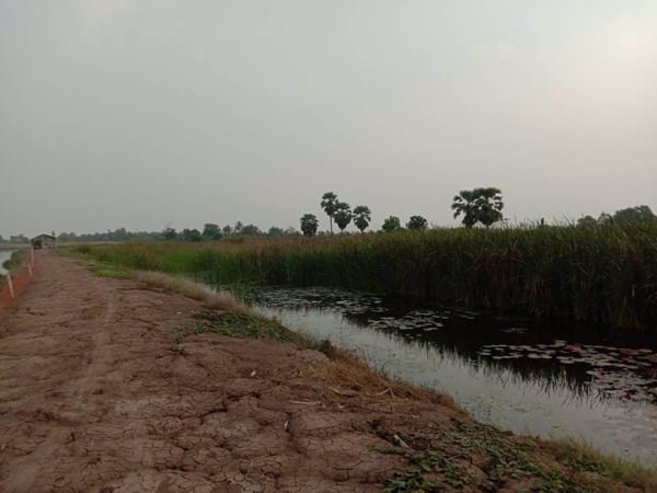 ขายที่ดินบ่อปลา-22-1-68-ไร่-ราคาถูกๆ-ใกล้แหล่งชุมชน-อบางคล้า-จฉะเชิงเทรา