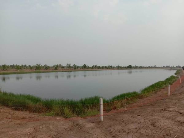 ขายที่ดินบ่อปลา-22-1-68-ไร่-ราคาถูกๆ-ใกล้แหล่งชุมชน-อบางคล้า-จฉะเชิงเทรา