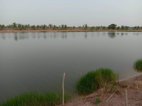 ขายที่ดินบ่อปลา-22-1-68-ไร่-ราคาถูกๆ-ใกล้แหล่งชุมชน-อบางคล้า-จฉะเชิงเทรา