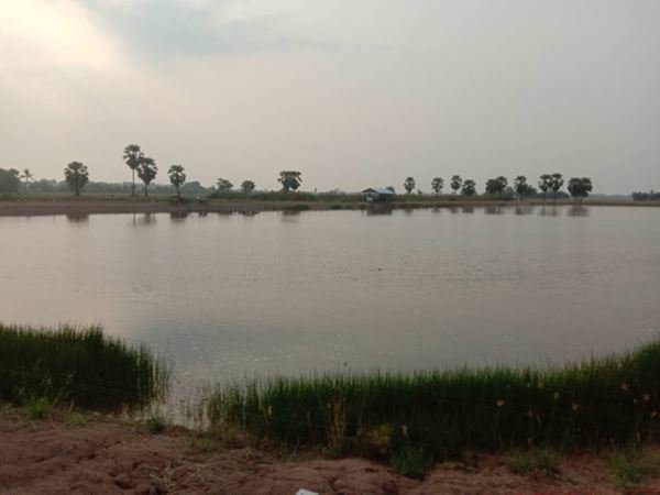 ขายที่ดินบ่อปลา-22-1-68-ไร่-ราคาถูกๆ-ใกล้แหล่งชุมชน-อบางคล้า-จฉะเชิงเทรา