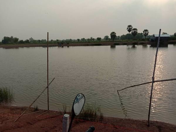 ขายที่ดินบ่อปลา-22-1-68-ไร่-ราคาถูกๆ-ใกล้แหล่งชุมชน-อบางคล้า-จฉะเชิงเทรา