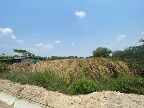 ขายที่ดิน-2-แปลงติด-4-3-76-ไร่-ติดถนนศุขประยูร-อบ้านโพธิ์-จฉะเชิงเทรา