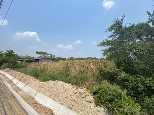 ขายที่ดิน-2-แปลงติด-4-3-76-ไร่-ติดถนนศุขประยูร-อบ้านโพธิ์-จฉะเชิงเทรา