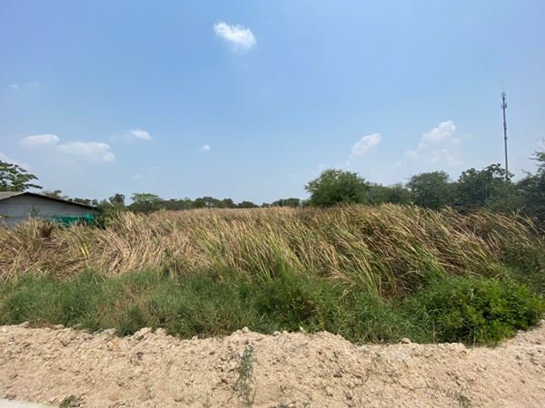 ขายที่ดิน-2-แปลงติด-4-3-76-ไร่-ติดถนนศุขประยูร-อบ้านโพธิ์-จฉะเชิงเทรา