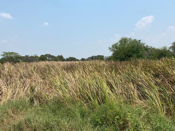 ขายที่ดิน-2-แปลงติด-4-3-76-ไร่-ติดถนนศุขประยูร-อบ้านโพธิ์-จฉะเชิงเทรา