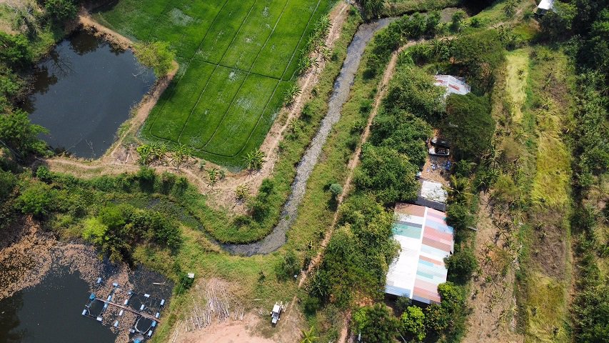 ขายด่วน-ที่ดิน-7-3-51-ไร่-พื้นที่สีม่วง-ถนนบายพาส-คริสตัล-กอล์ฟ