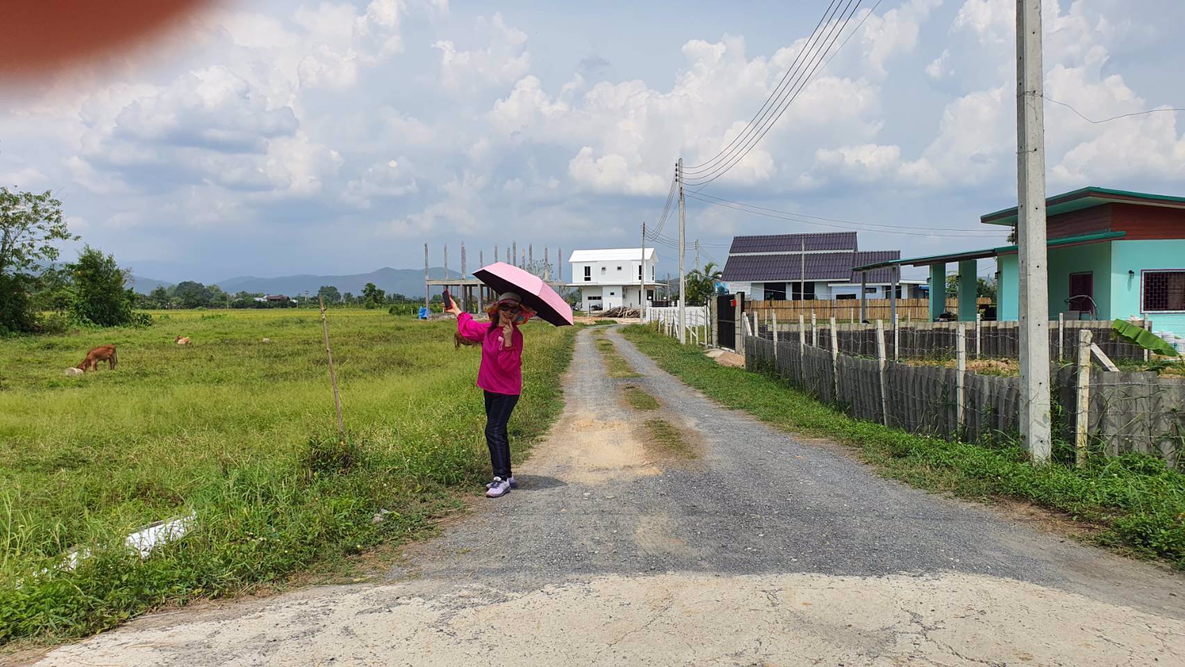 ขายที่ดิน-1-ไร่-แบ่งเนื้อที่แปลงละ-100-ตรว